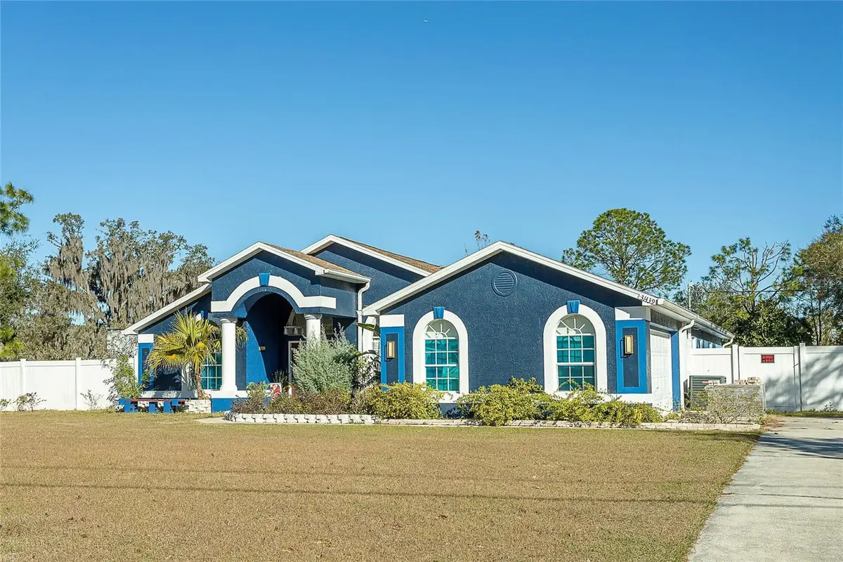 31439 Stirrup Lane, Wesley Chapel, FL 33543 - #1