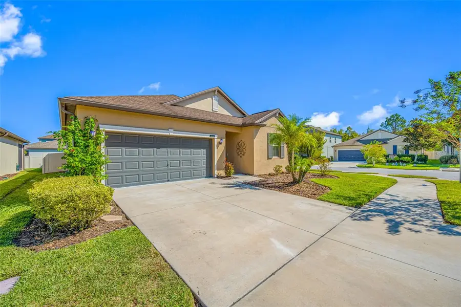 9205 Shadyside Lane, Land O Lakes, FL 34637 - #2