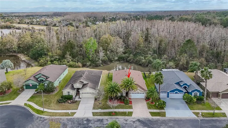 31656 Marchester Drive, Wesley Chapel, FL 33543 - #2