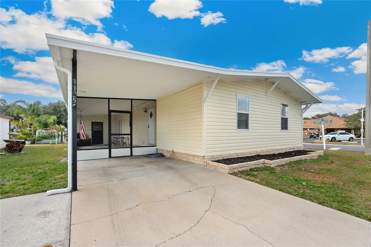 3125 Briar Street, Wesley Chapel, FL 33543 - #1