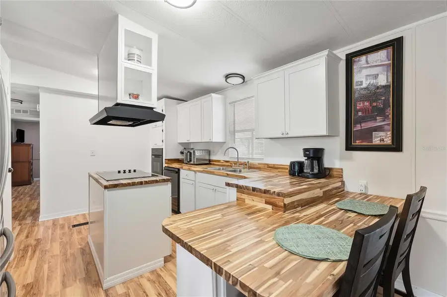 3125 Briar Street, Wesley Chapel, FL 33543 - #3