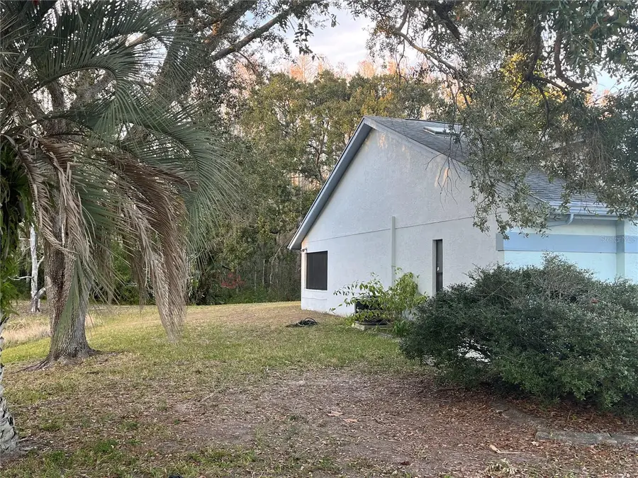 11230 Elmfield Drive, Tampa, FL 33625 - Image #3