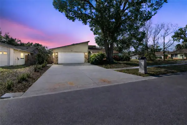 4720 Heath Avenue, TAMPA, FL 33624