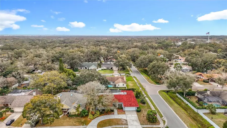 1736 Pine Creek Court, Safety Harbor, FL 34695 - #2