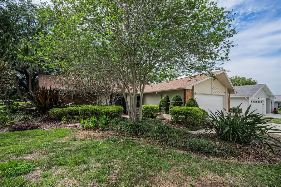 1700 Macdonnell Drive, Palm Harbor, FL 34684 - #2