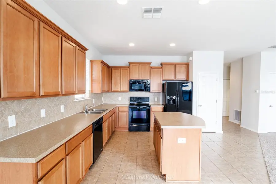 783 Petal Mist Lane, Brooksville, FL 34604 - Image #3