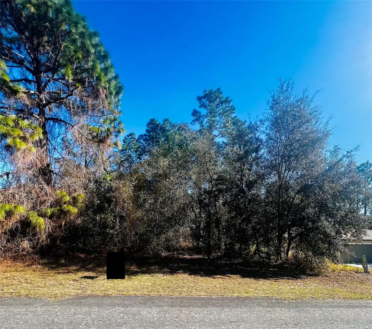 8039 N Creek Way, Citrus Springs, FL 34434 - #1