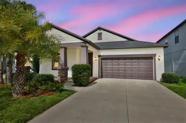 10616 Great Cormorant Drive, RIVERVIEW, FL 33579