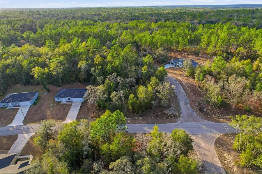 10953 N Ocean Drive, Citrus Springs, FL 34434 - Image #2