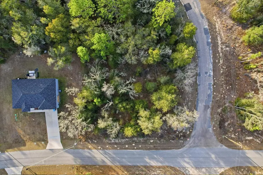 10925 N Ocean Drive, Citrus Springs, FL 34434 - Image #2