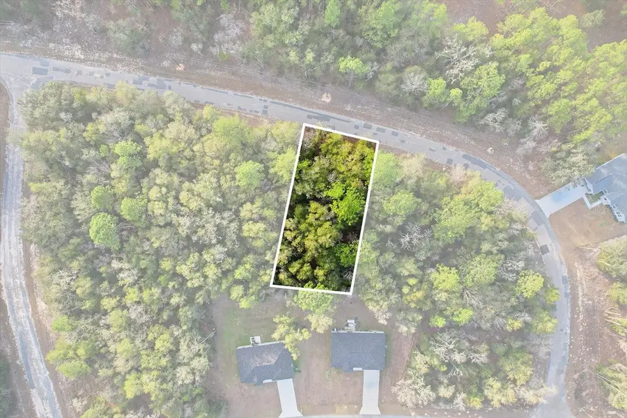 10887 N Ocean Drive, Citrus Springs, FL 34434 - Image #3