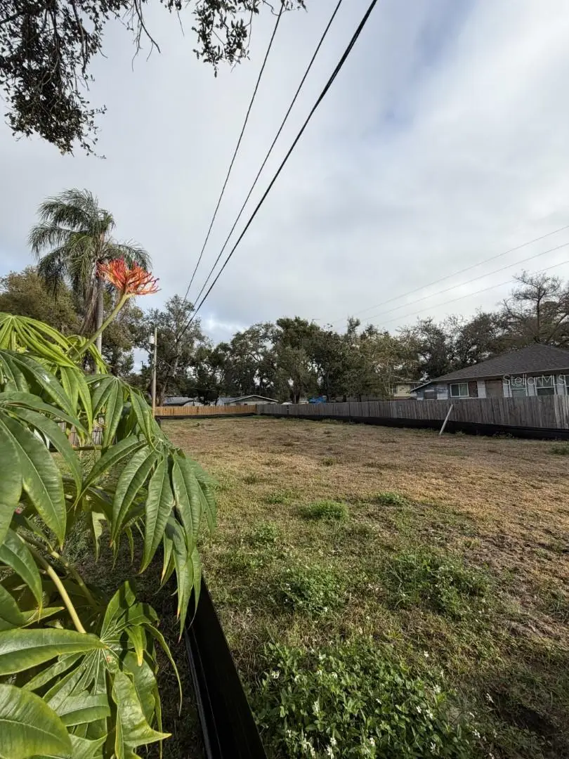 1006 Jones Street, Clearwater, FL 33755 - #3