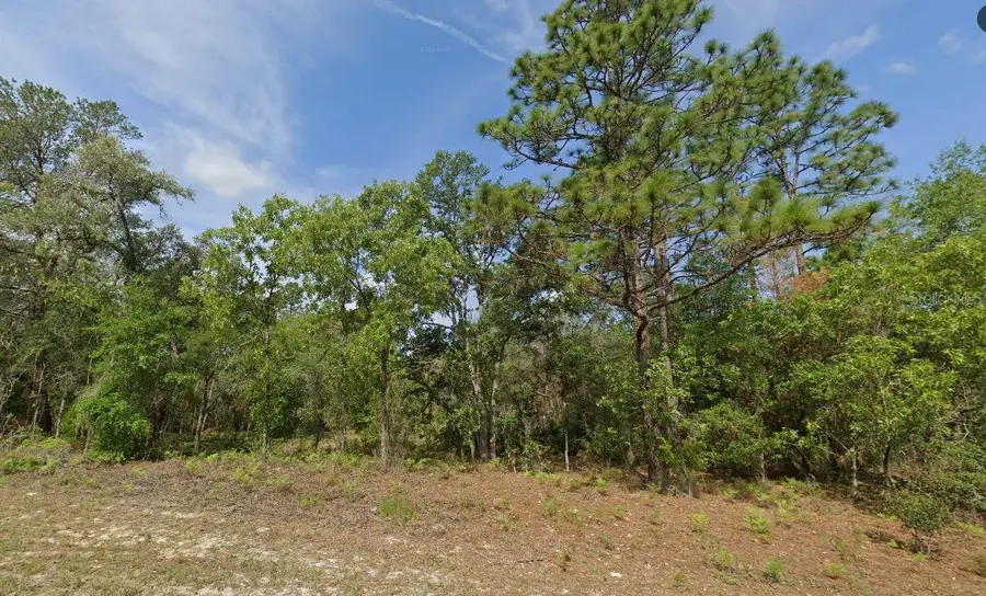 6502 N Matheson Drive, Citrus Springs, FL 34434 - Image #2