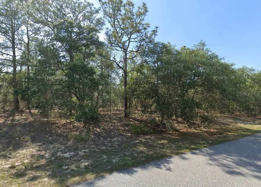 6004 N Darlington Drive, Citrus Springs, FL 34434 - Image #2