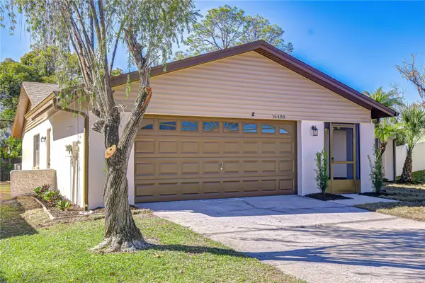 16408 Norwood Drive, TAMPA, FL 33624