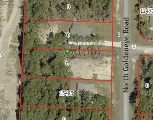 15493 Penn State Road, Weeki Wachee, FL 34614 - #2