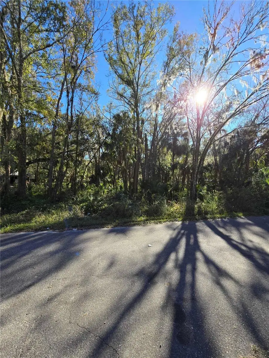 909 Estelle Ave, Brandon, FL 33511 - #3