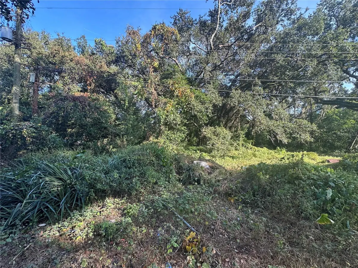 11911 Leroy Sheppard Road, Thonotosassa, FL 33592 - #1