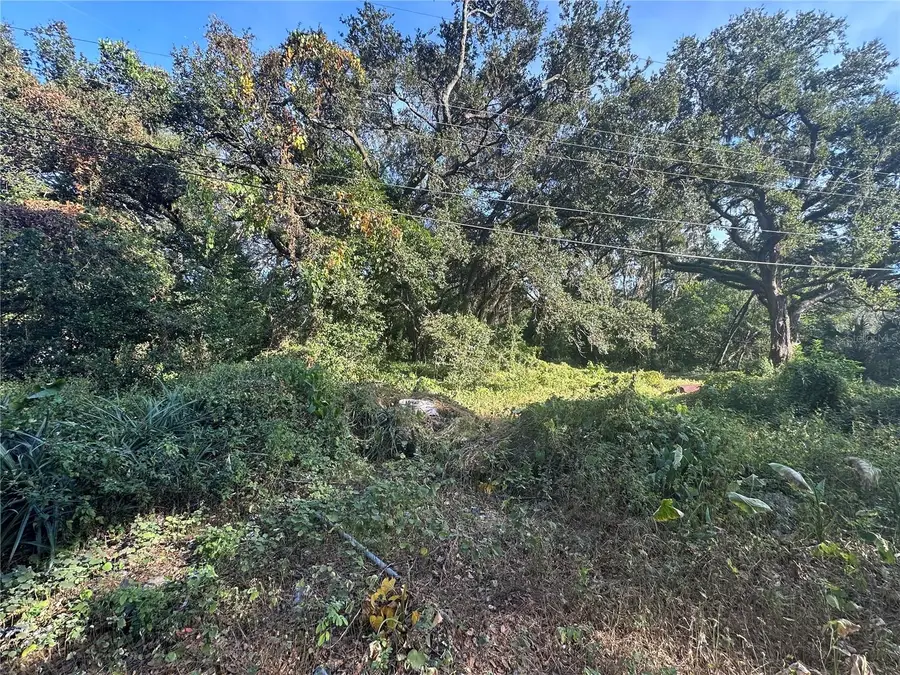 11911 Leroy Sheppard Road, Thonotosassa, FL 33592 - #3