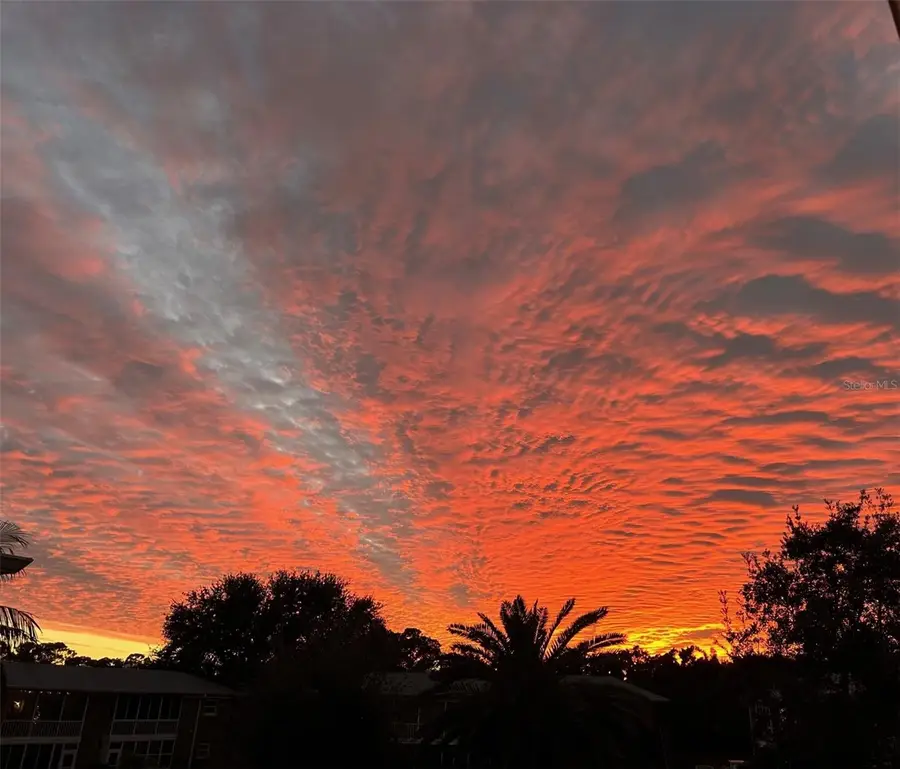 3947 35th Way S #131, Saint Petersburg, FL 33711 - #2