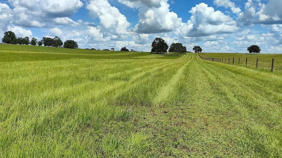 8385 S Pleasant Grove Road, Inverness, FL 34452 - Image #3