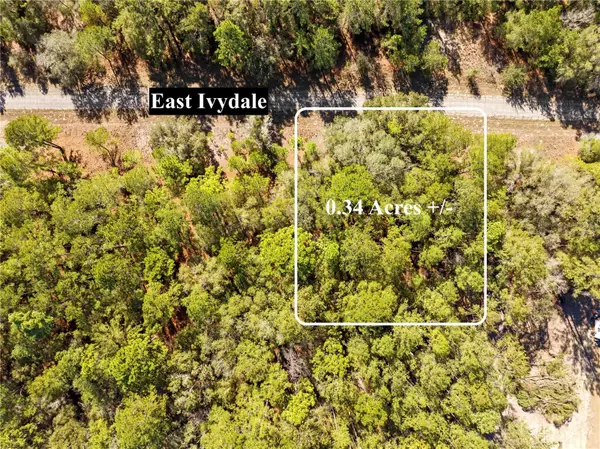 1783 E Ivydale Drive, DUNNELLON, FL 34434
