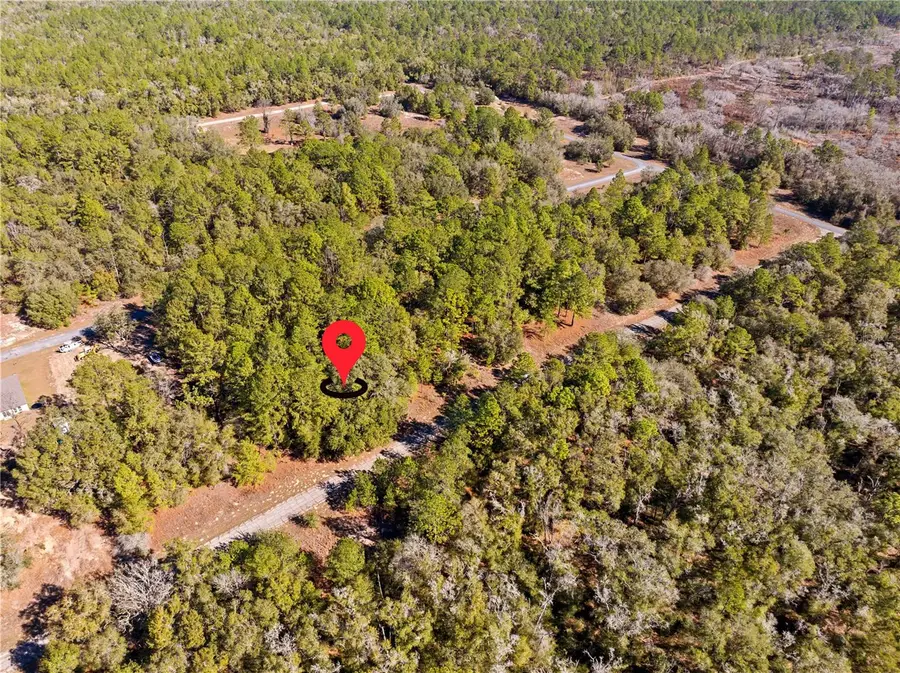 1783 E Ivydale Drive, Dunnellon, FL 34434 - Image #2