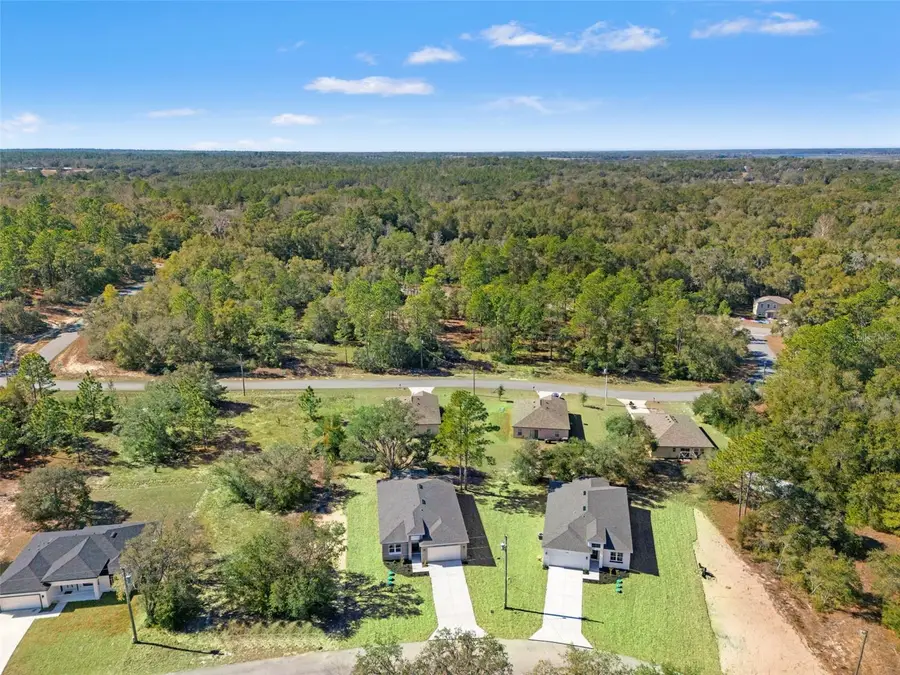 11838 N Providence Way, Citrus Springs, FL 34433 - Image #3