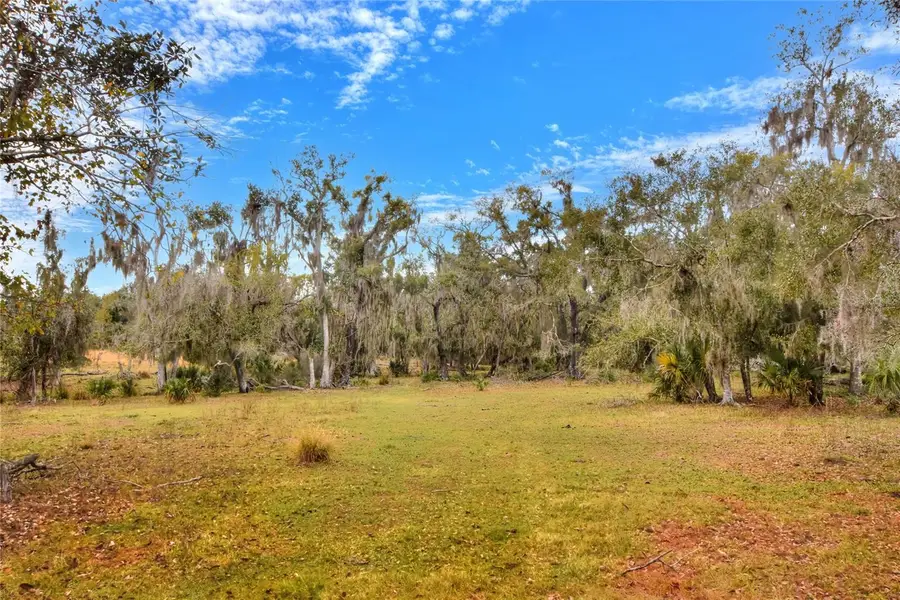 Colding Loop, Wimauma, FL 33598 - #3
