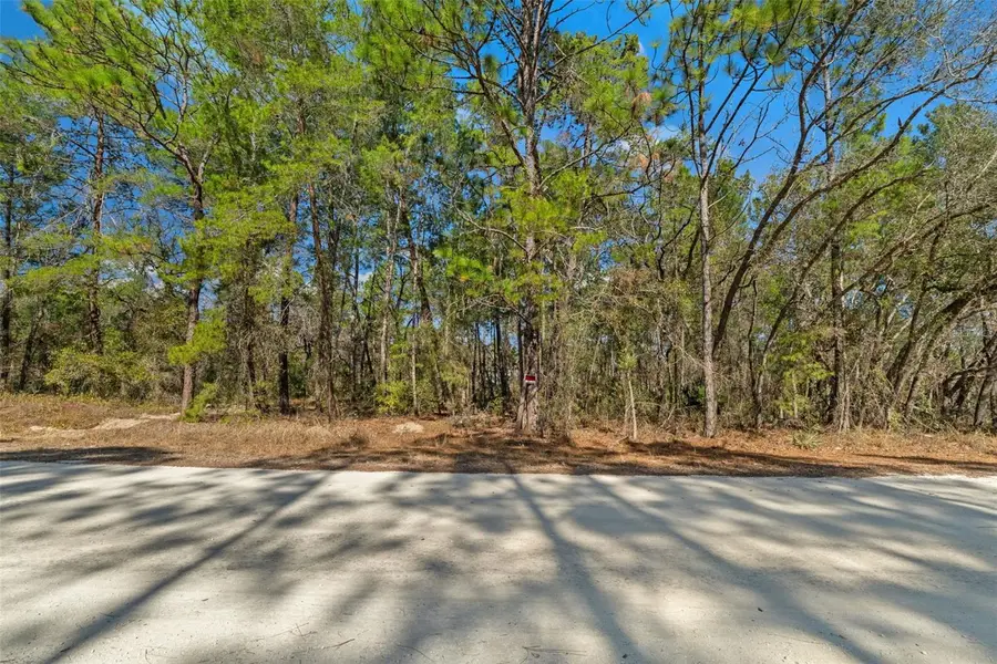 13085 Tinamou Avenue, Weeki Wachee, FL 34614 - #2