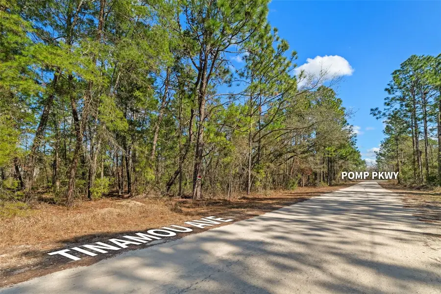 13085 Tinamou Avenue, Weeki Wachee, FL 34614 - #3