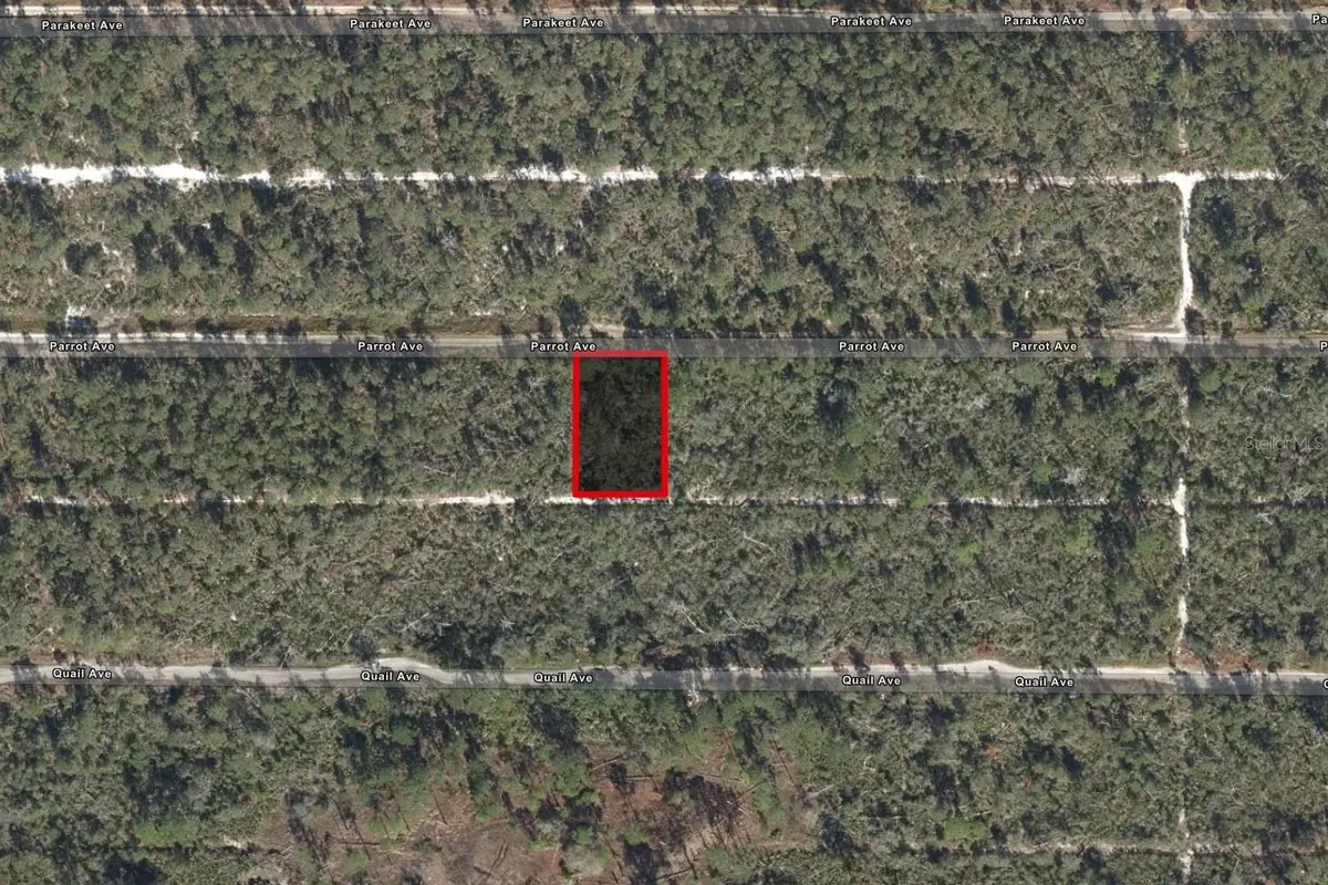 533 Parrot Avenue, Sebring, FL 33870 - Image #1