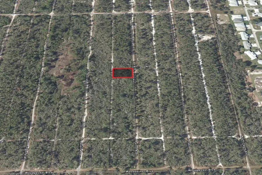 533 Parrot Avenue, Sebring, FL 33870 - Image #2