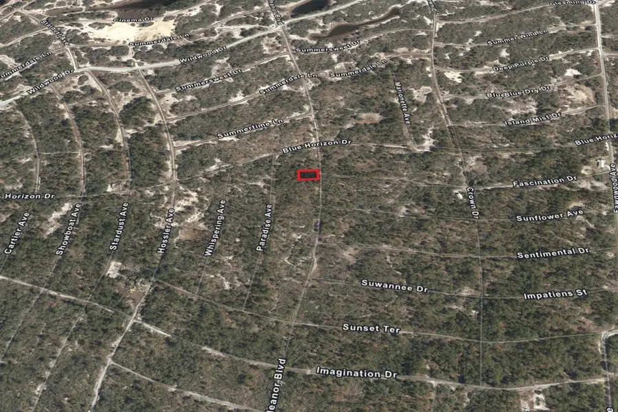 374 Eleanor Boulevard, Lake Placid, FL 33852 - Image #3