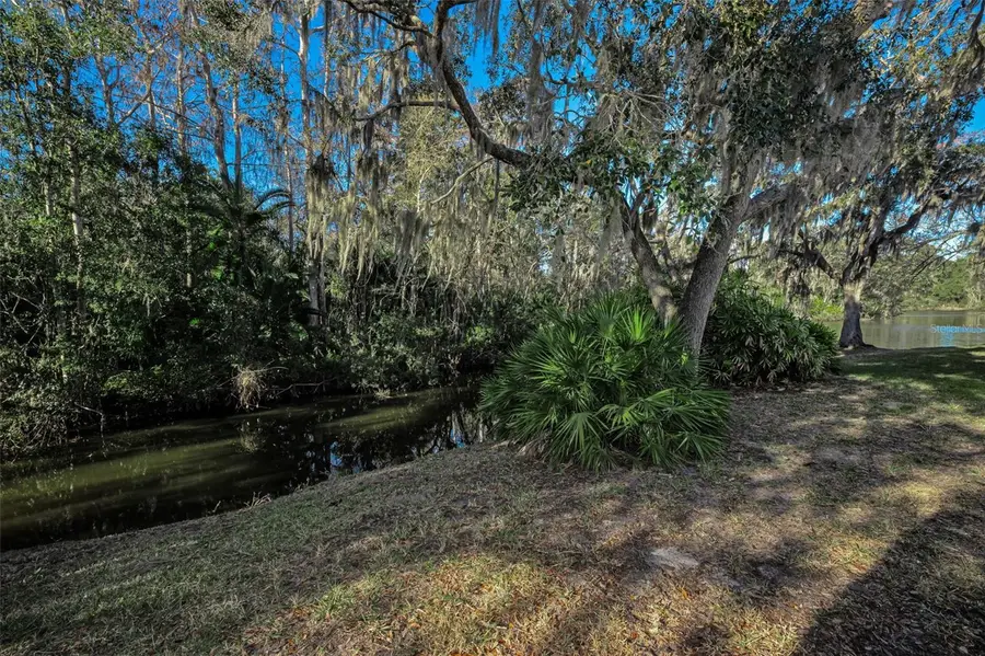 1462 Woodstream Drive, Oldsmar, FL 34677 - Image #2