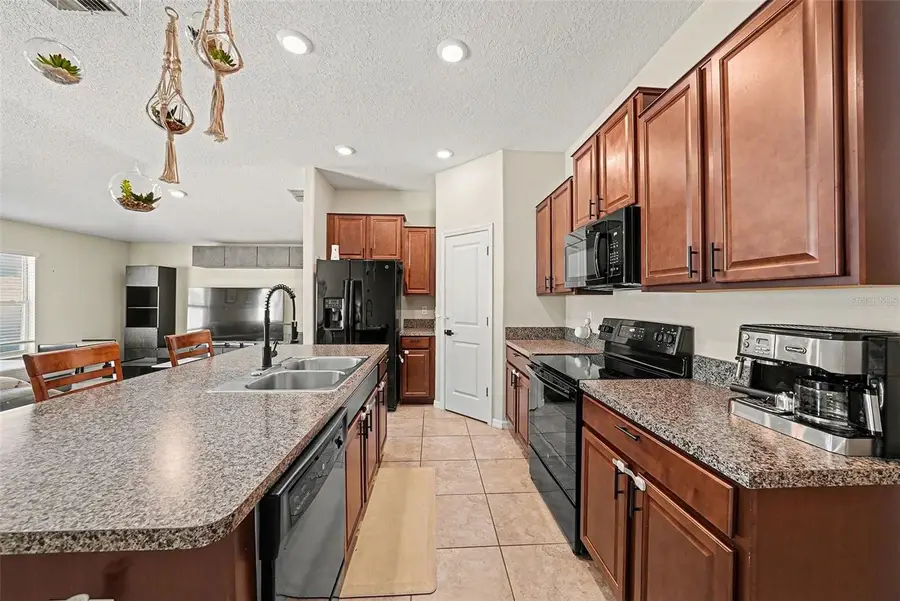 10128 Crested Fringe Drive, Riverview, FL 33578 - Image #3