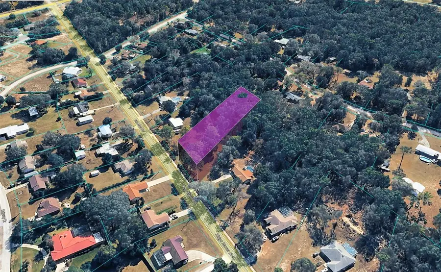 Ridge Manor Boulevard, Dade City, FL 33523 - #2