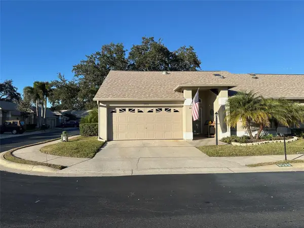 3535 Birkdale Lane, PALM HARBOR, FL 34684