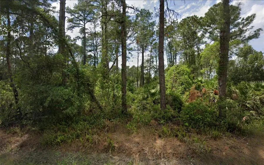Unassigned 11th Avenue, Deland, FL 32724 - Image #3