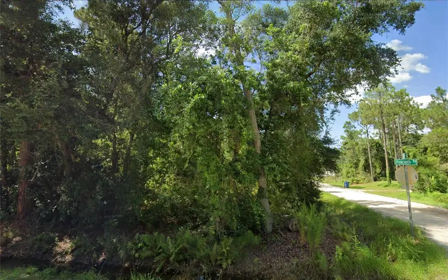 Unassigned 10th Avenue, Deland, FL 32724 - Image #3