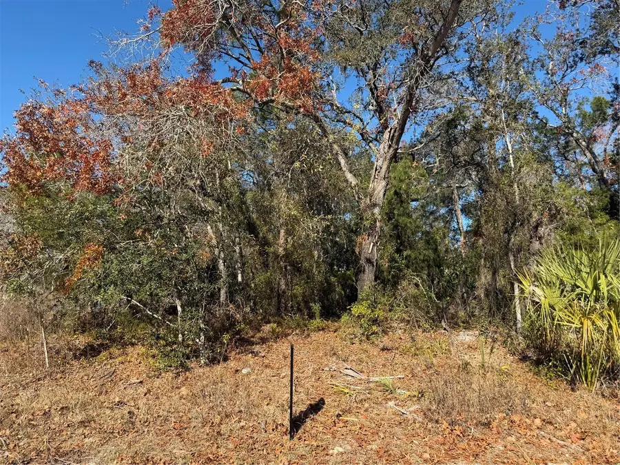 4307 Castle Avenue, Spring Hill, FL 34609 - #2