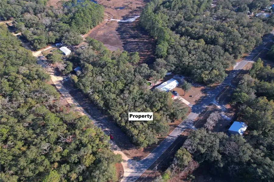 0 Hemlock St, Interlachen, FL 32148 - Image #2