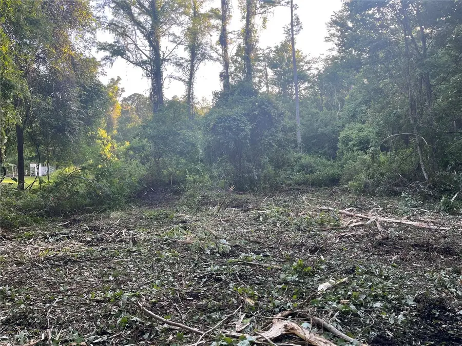 10117 Orland Street, New Port Richey, FL 34654 - Image #2