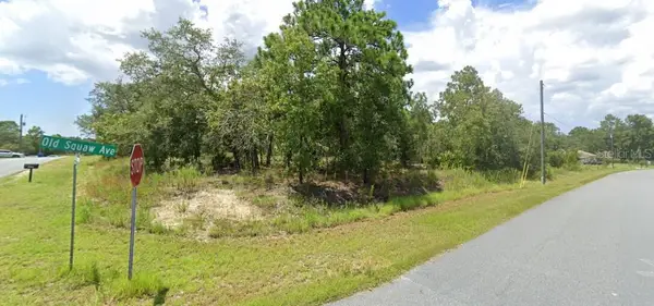 00 Old Squaw Avenue, WEEKI WACHEE, FL 34614