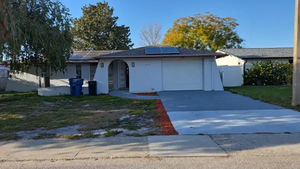 7233 Vienna Lane, PORT RICHEY, FL 34668