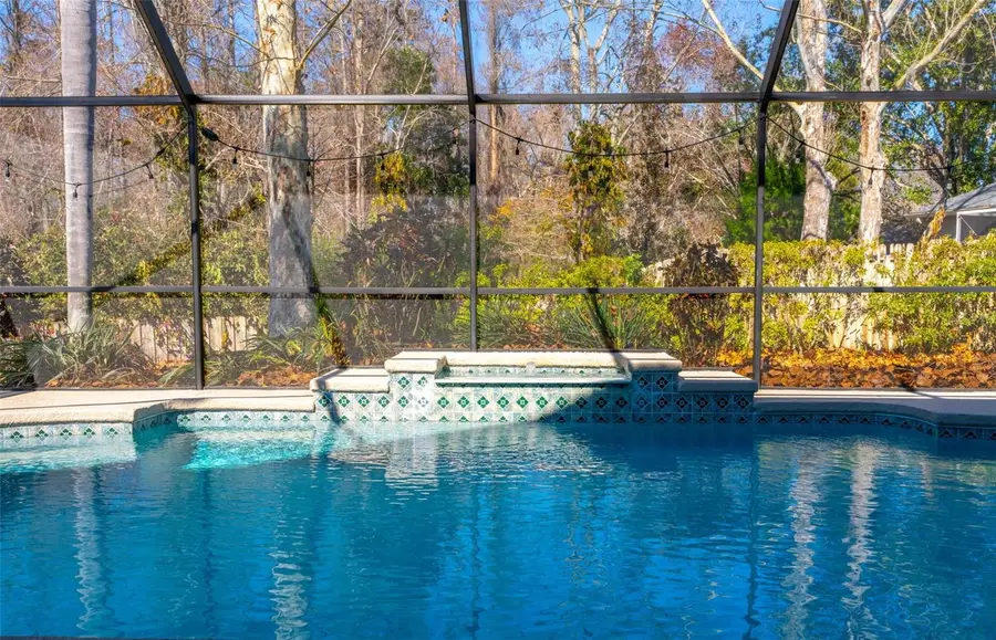 19321 Wind Dancer Street, Lutz, FL 33558 - Image #2