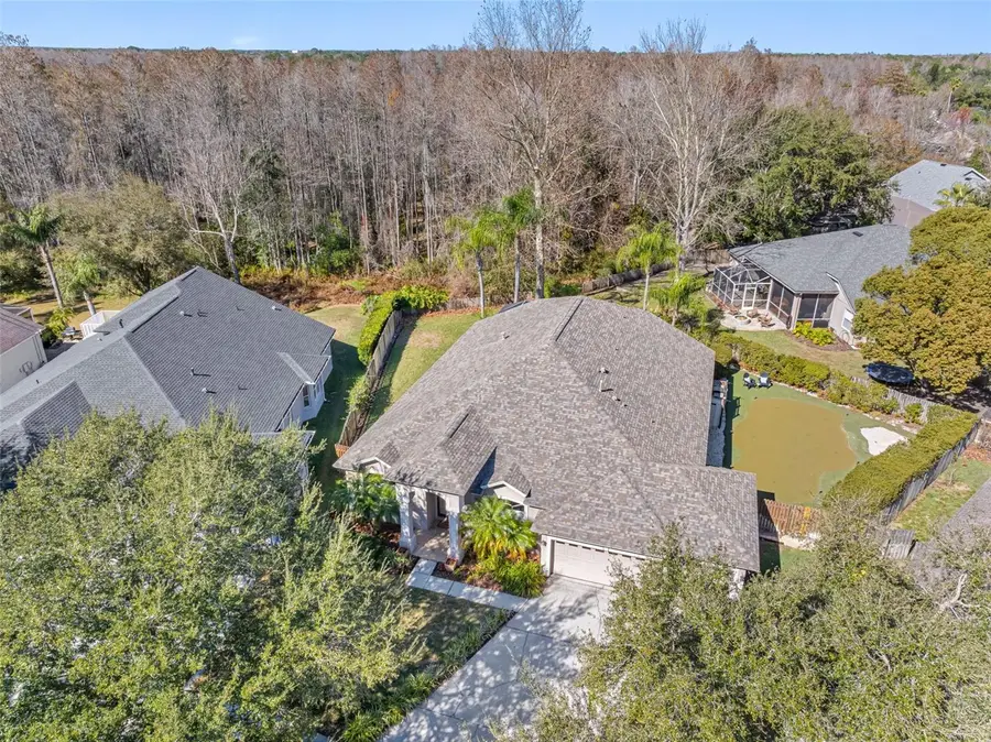 19321 Wind Dancer Street, Lutz, FL 33558 - Image #3