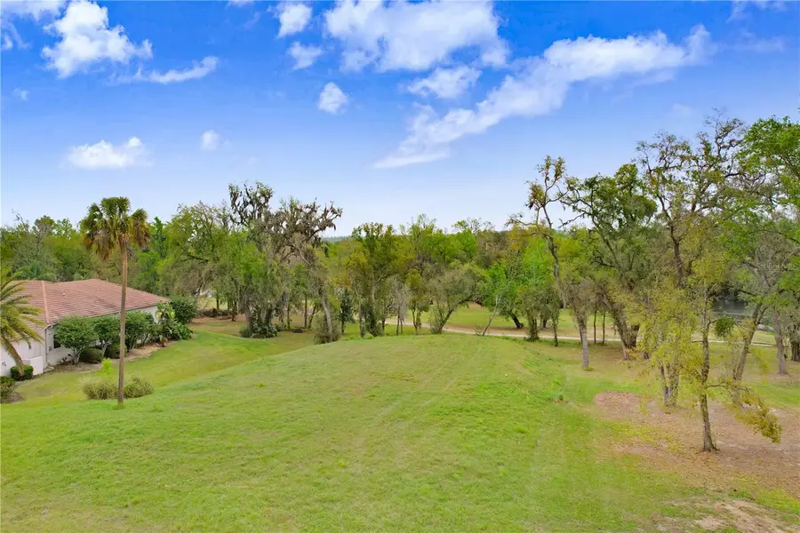 13619 Carnoustie Circle, Dade City, FL 33525 - #2