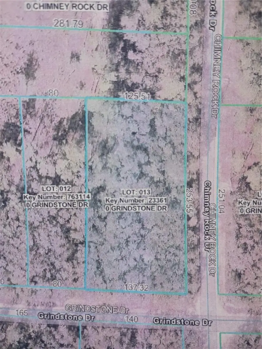 Grindstone Drive, Webster, FL 33597 - #1