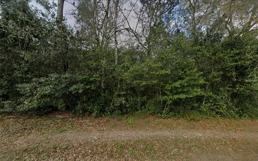 6524 N Sourgum Terrace, Hernando, FL 34442 - #2